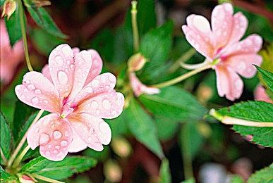 传闻：《波斯王子》新作下周公布 5月14日上线Steam